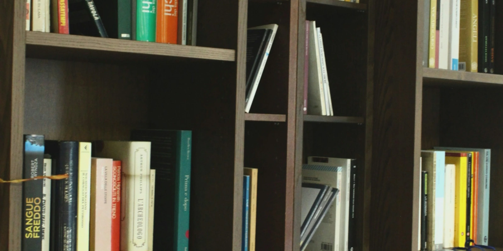 Comment Devenir Psychologue : Le Parcours en Détail