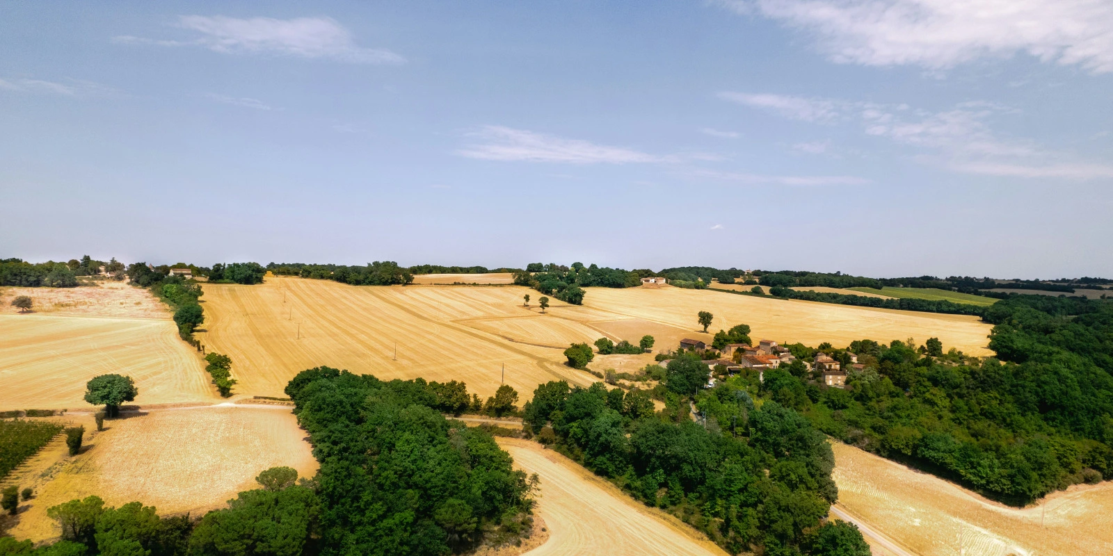 Le Cursus d'une Licence en Psychologie à Lille Le Cursus d'une Licence en Psychologie à Lille