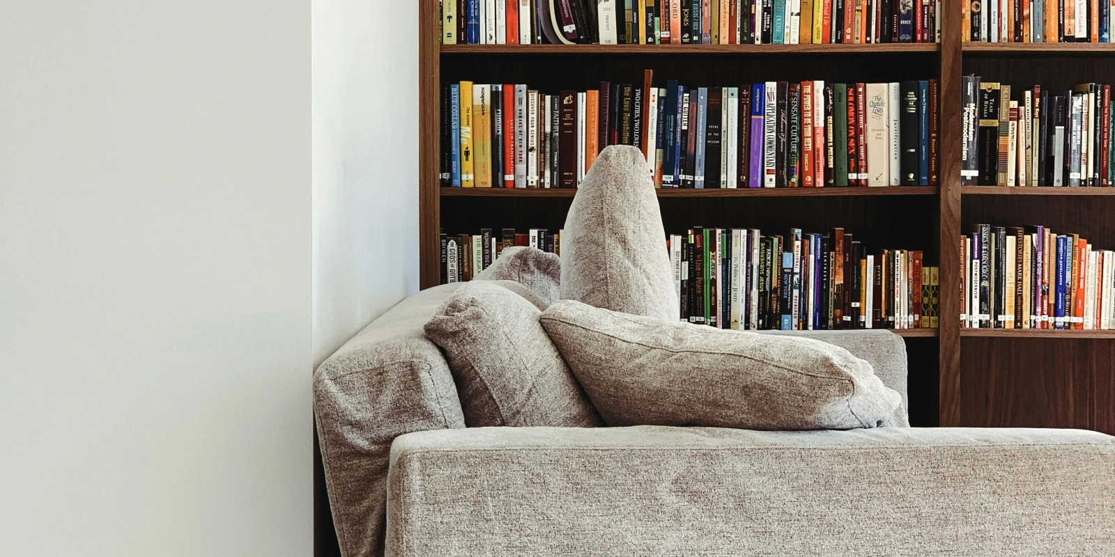 Les Débouchés Professionnels d’une Licence en Psychologie