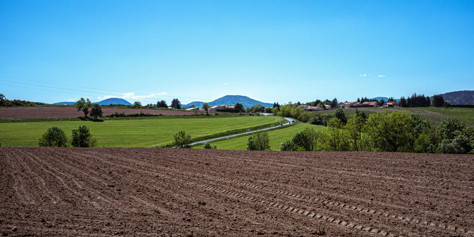 Les Spécialités de la Licence Psychologie à Paris