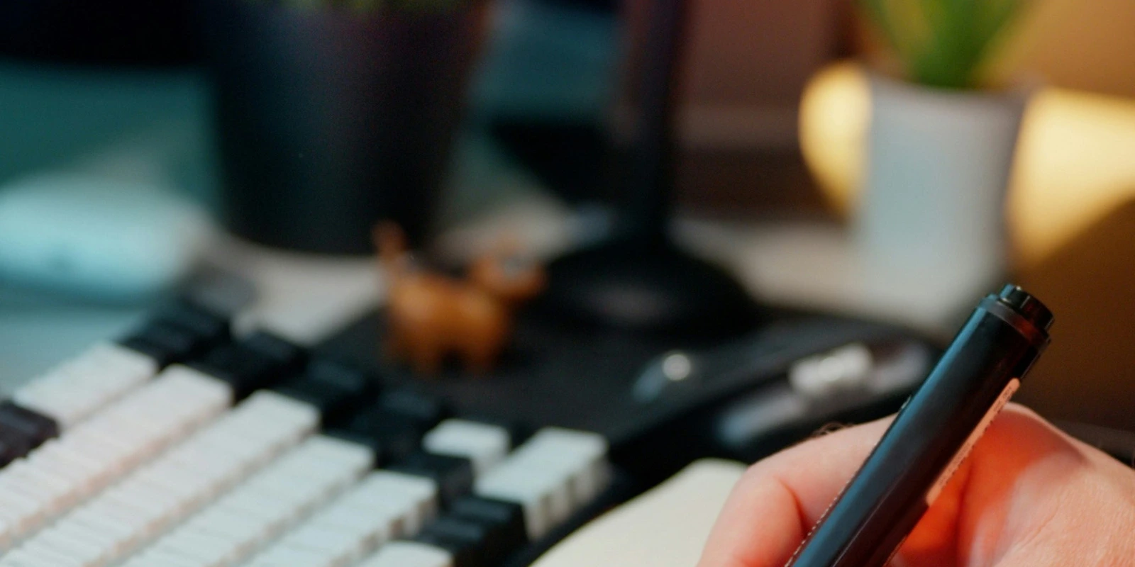 Licence de Psychologie : Programme et Matières